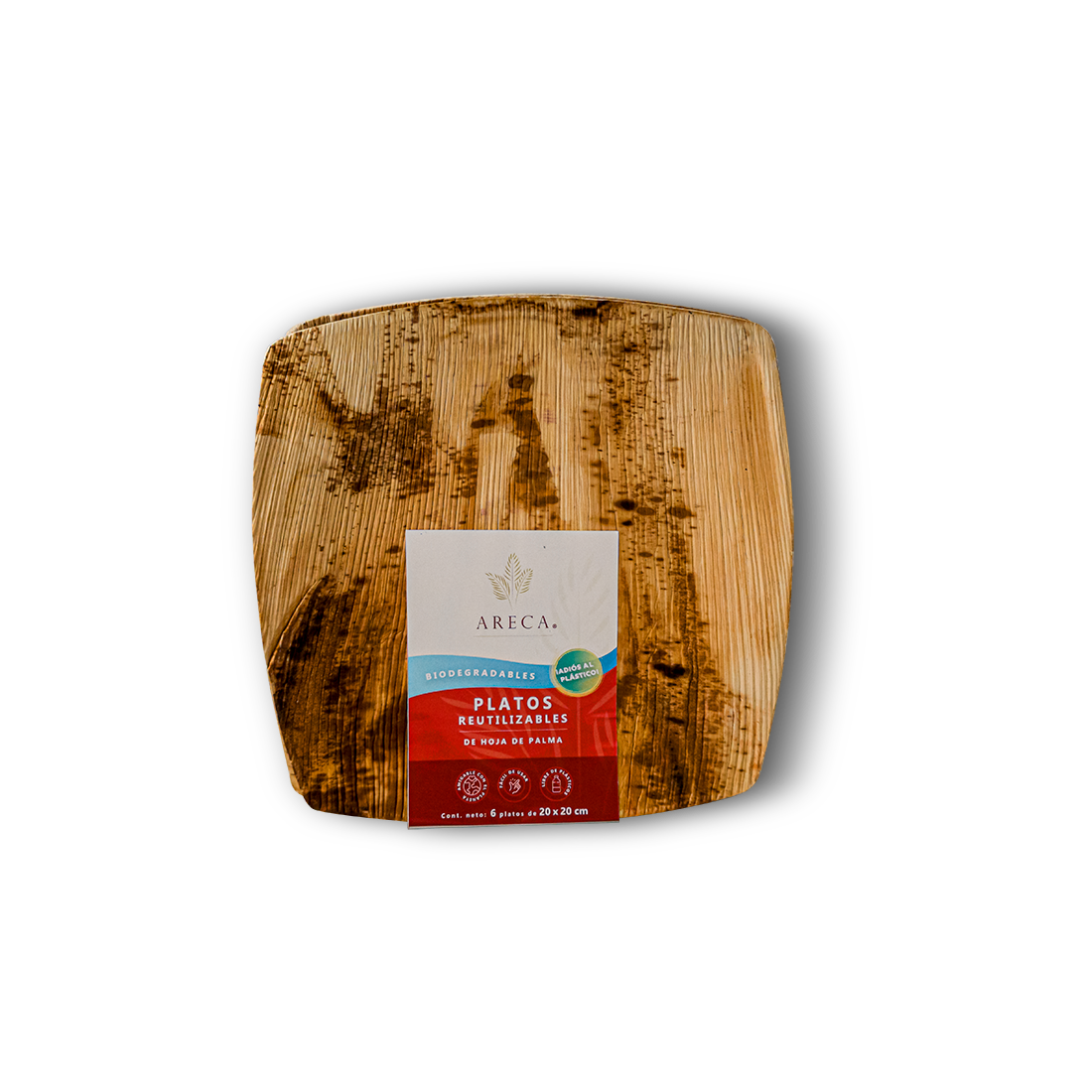 Plato sales desechable biodegradable